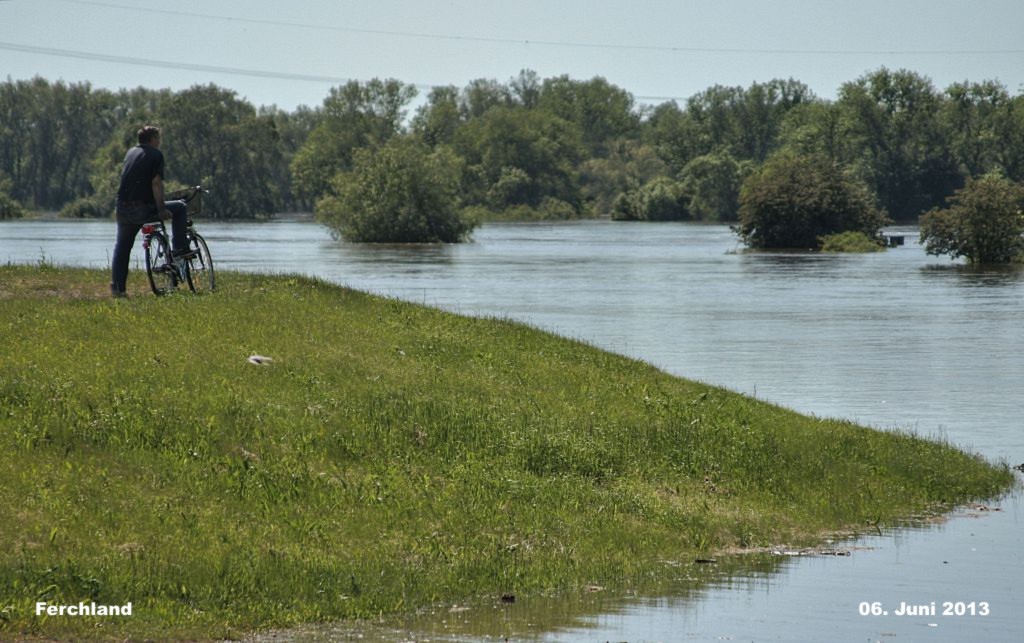 Hochwasser- 2013_06_06-016-Ferchland.jpg